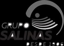Grupo Salinas
