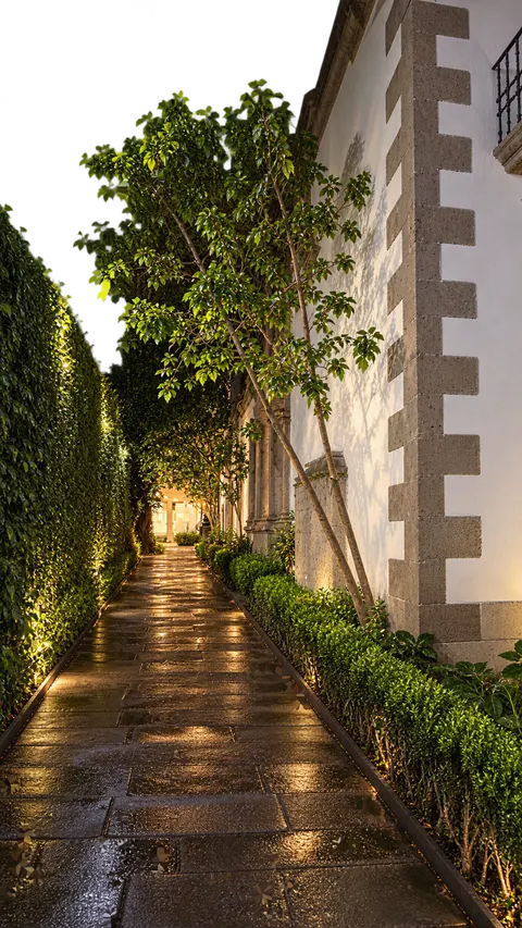 Andador de la casa de ISDI México, entre plantas, iluminado de noche